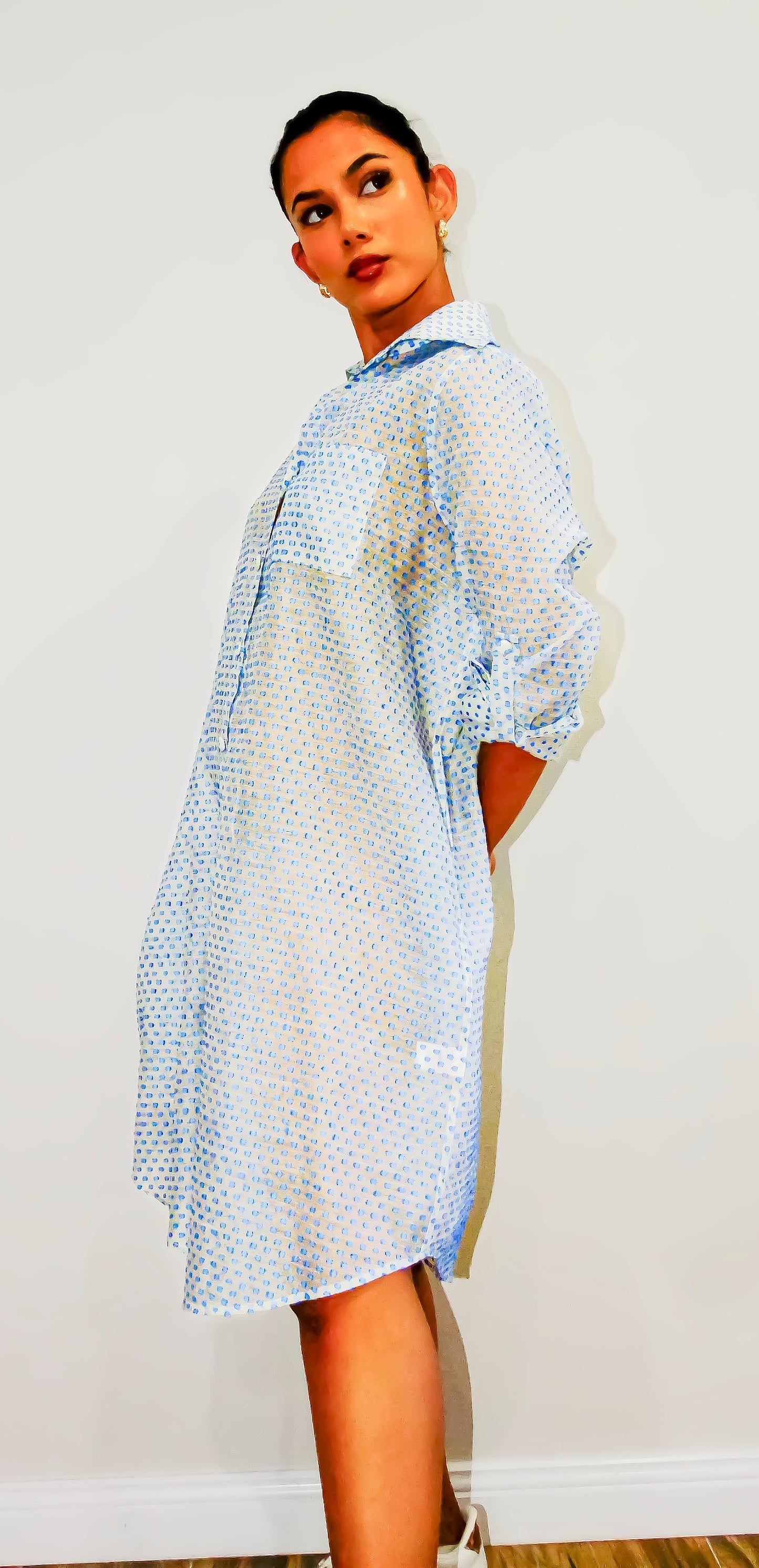 Luna button shirt dress
