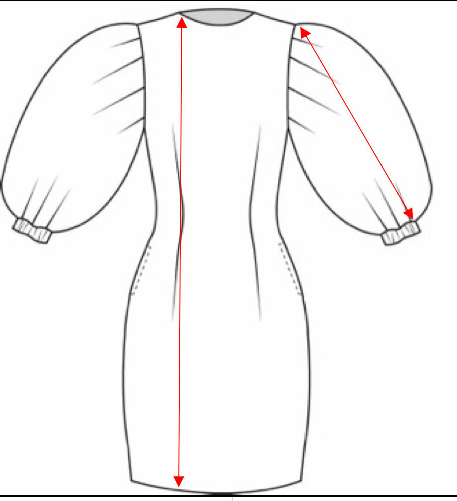 Azalea puff sleeve dress