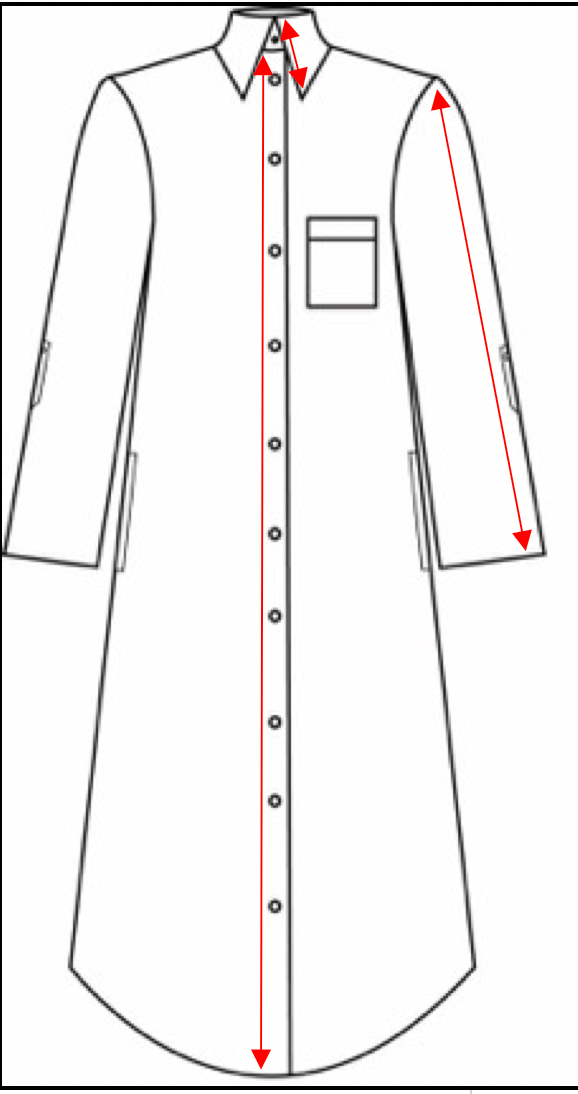 Luna button shirt dress