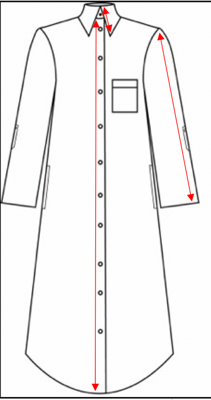 Luna button shirt dress